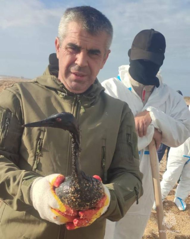 Сотрудники Донского МЧС продолжают работы по ликвидации ЧС на побережье Краснодарского края