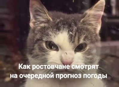 Видите дождь? И мы не видим