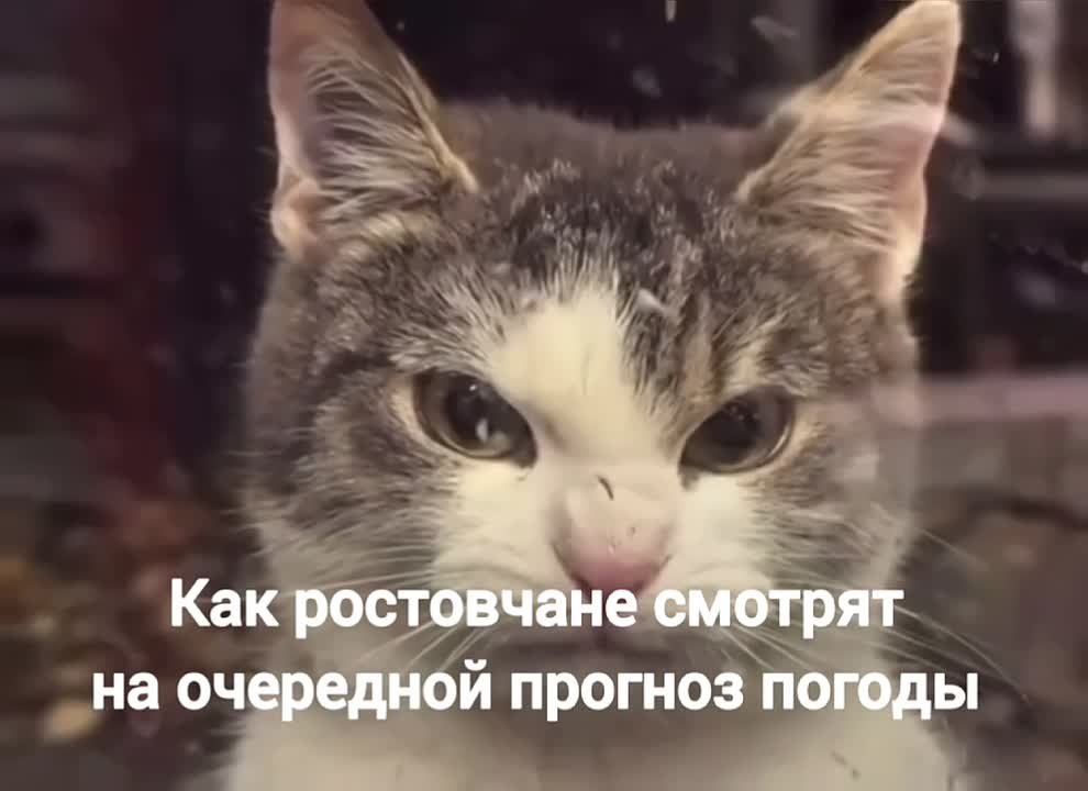 Видите дождь? И мы не видим