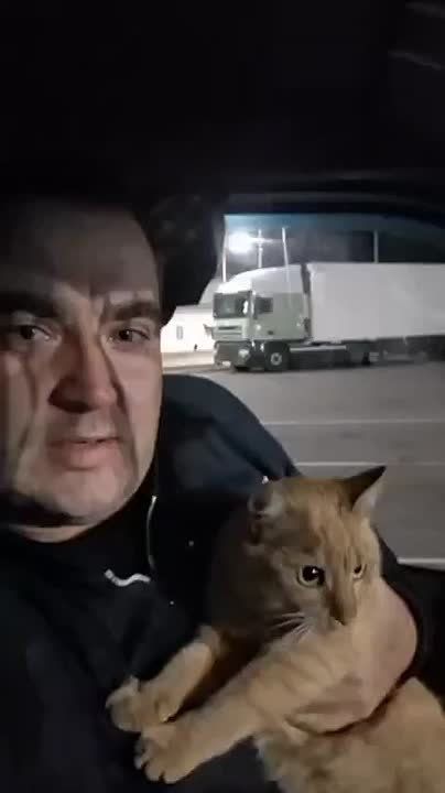 Это очень трогательно: дальнобойщик нашел своего пушистого напарника спустя два года поисков – за это время он успел развестись с женой