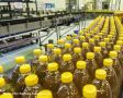 В Ростовской области реализуют 13 крупных проектов агропромышленного комплекса общей стоимостью 100 млрд руб