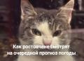 Видите дождь? И мы не видим