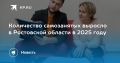Обновленные данные по числу самозанятых на Дону представили в ФНС