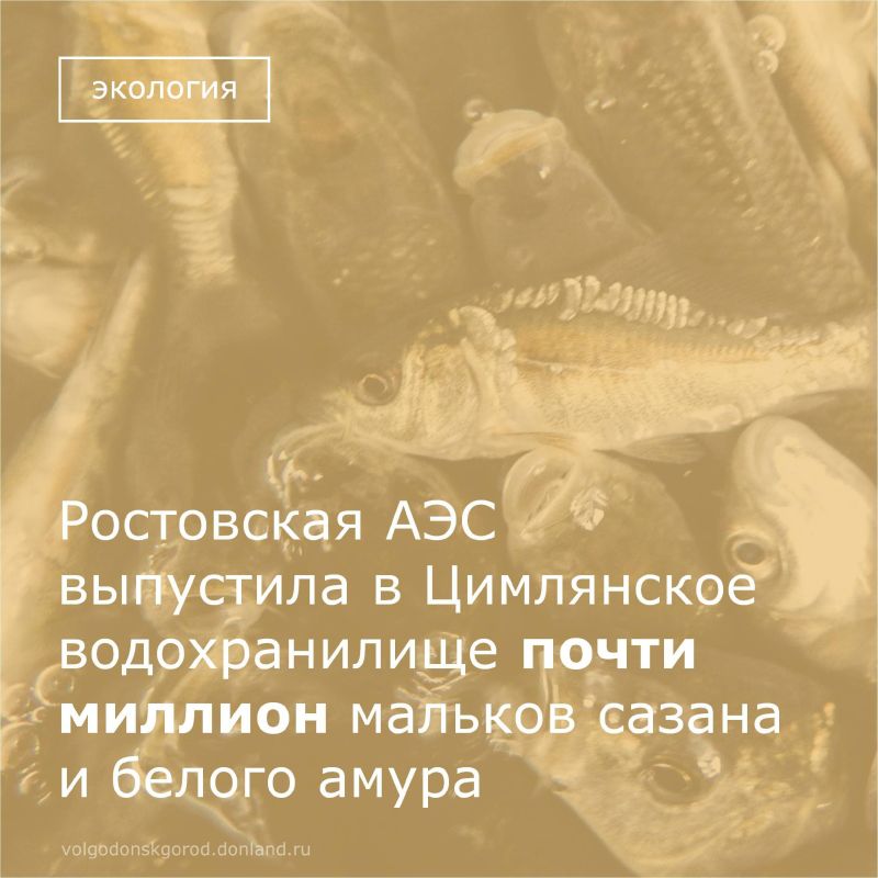      2025      700     240      ,        