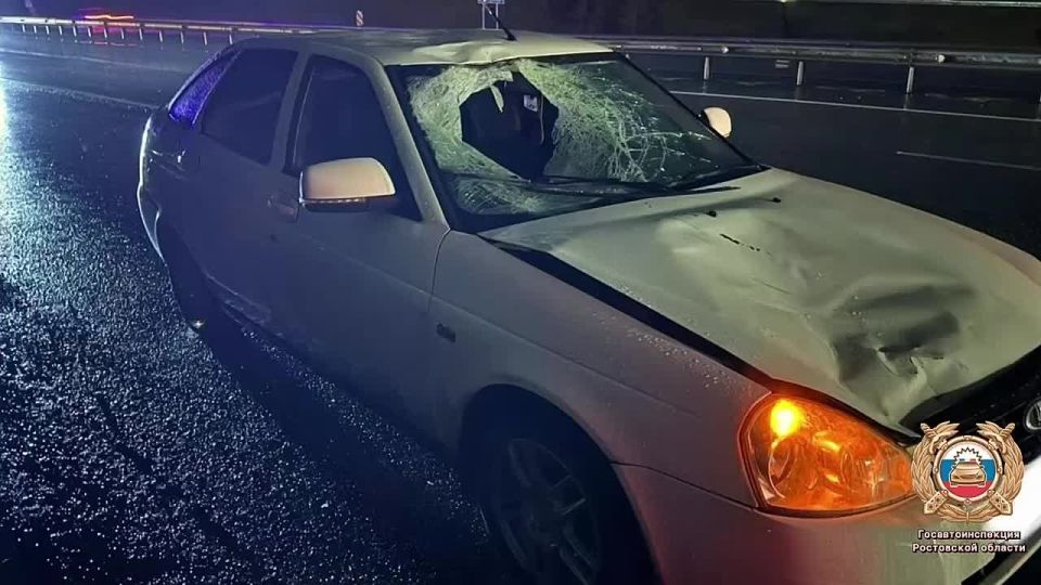 Сотрудники полиции устанавливают обстоятельства смертельного ДТП