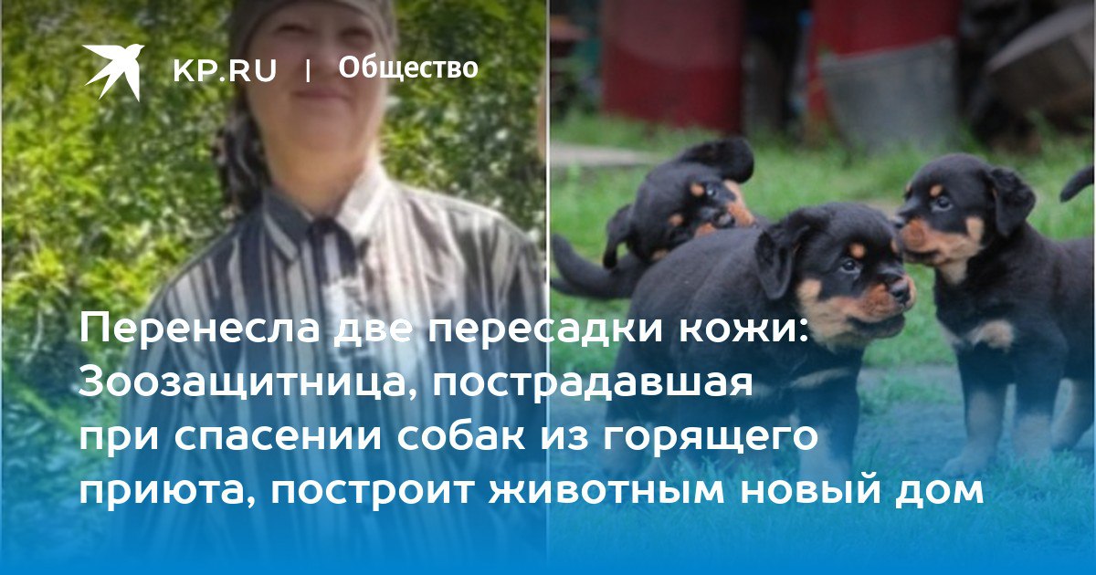 Зоозащитница из Ростова перенесла две операции после пожара в приюте для собак