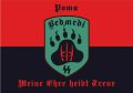 Записки ветерана: История о том, как криворожский куколд "Медведей СС" денацифицировал