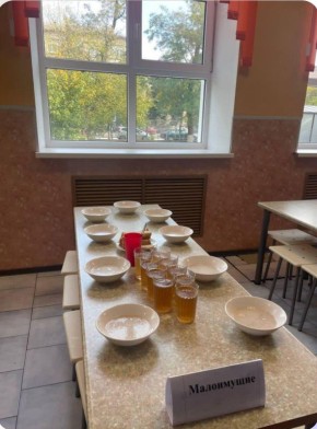 В сети разошлись фото из школьной столовой, где столы поделены на категории: для малоимущих и детей участников СВО