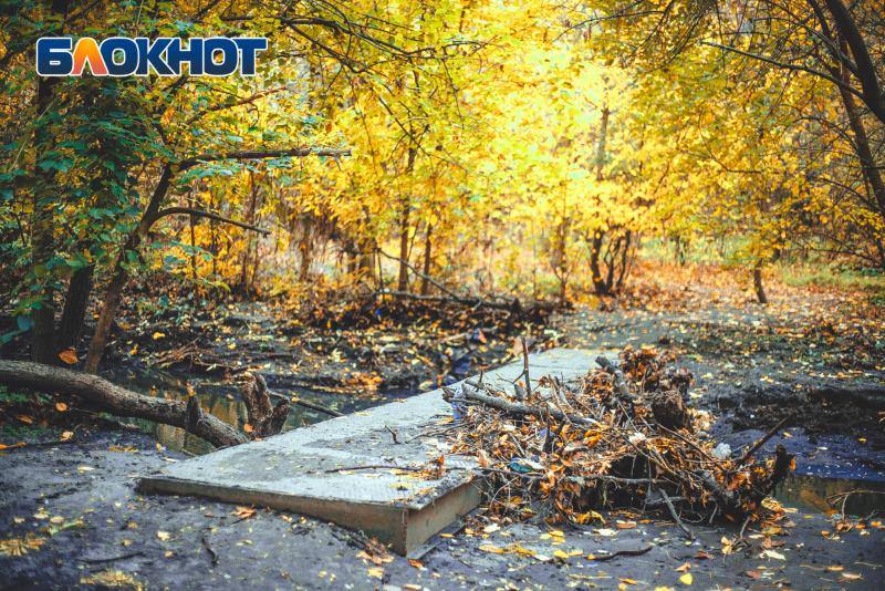 Темнота, мусор и старые площадки: осень в парке Авиаторов глазами ростовчан Темнота, мусор и старые площадки: осень в парке Авиаторов глазами ростовчан