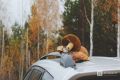 Сентябрьская грибная охота: что собирают жители Нижегородской области