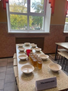 Руководство азовской школы устроило дискриминацию в столовой и разделило детей на "малоимущих" и "СВО"