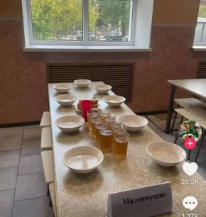 Руководство ростовской школы ввело классовое разделение учеников в столовой
