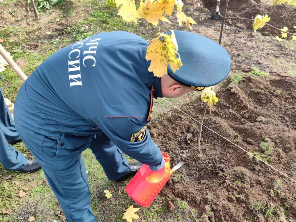 ,         ?  ,      !