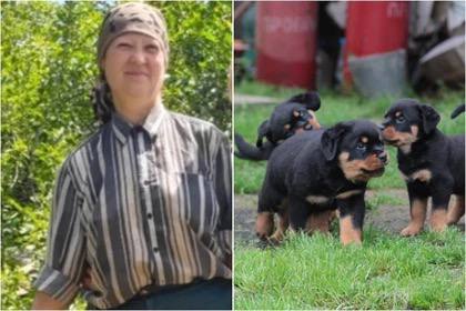 В Ростовской области зоозащитница Антонина, основательница приюта «Мистер Макс» для 133 собак, получила серьёзные ожоги, спасая щенков во время пожара, в котором сгорел её дом и часть вольеров