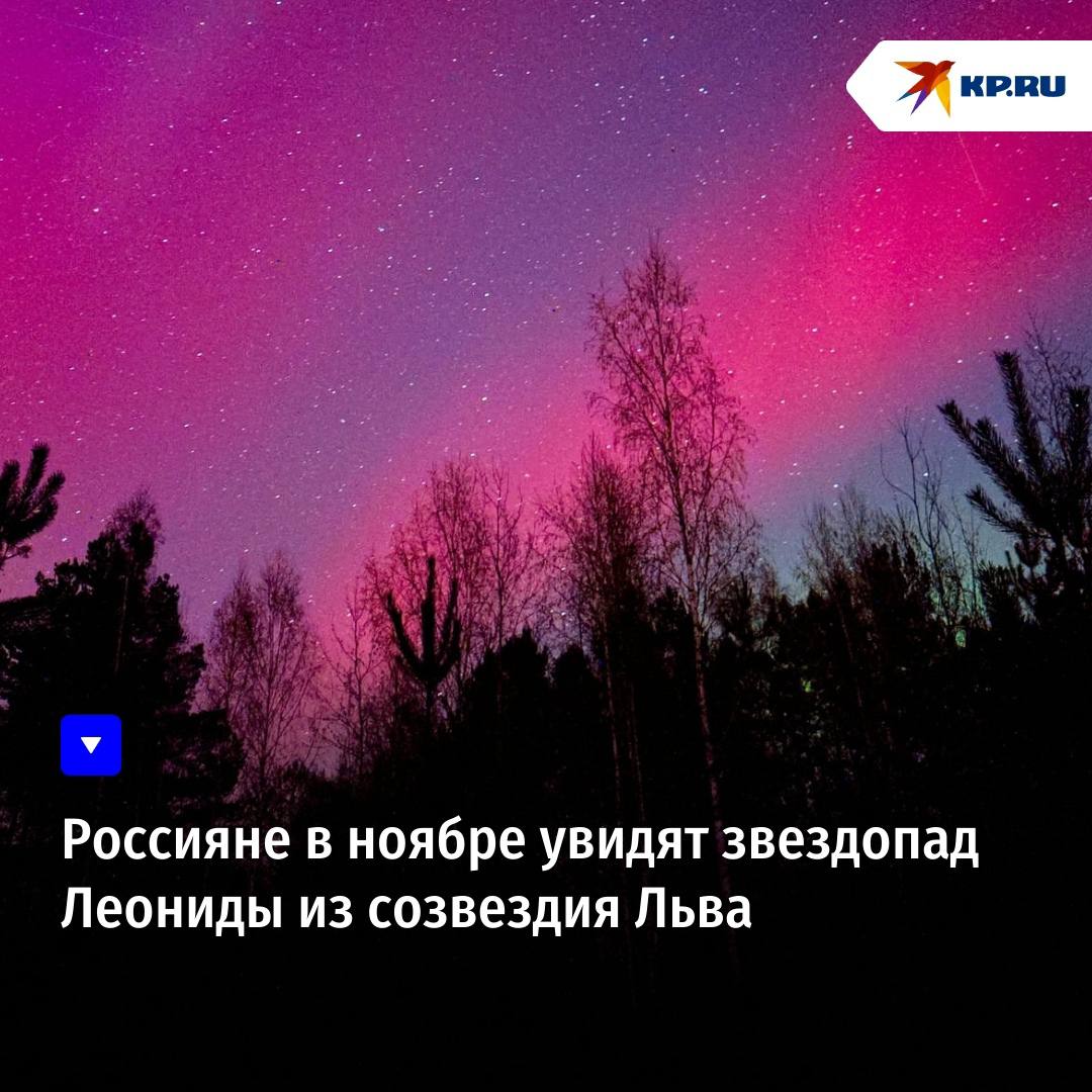 Россияне в ноябре увидят звездопад Леониды из созвездия Льва