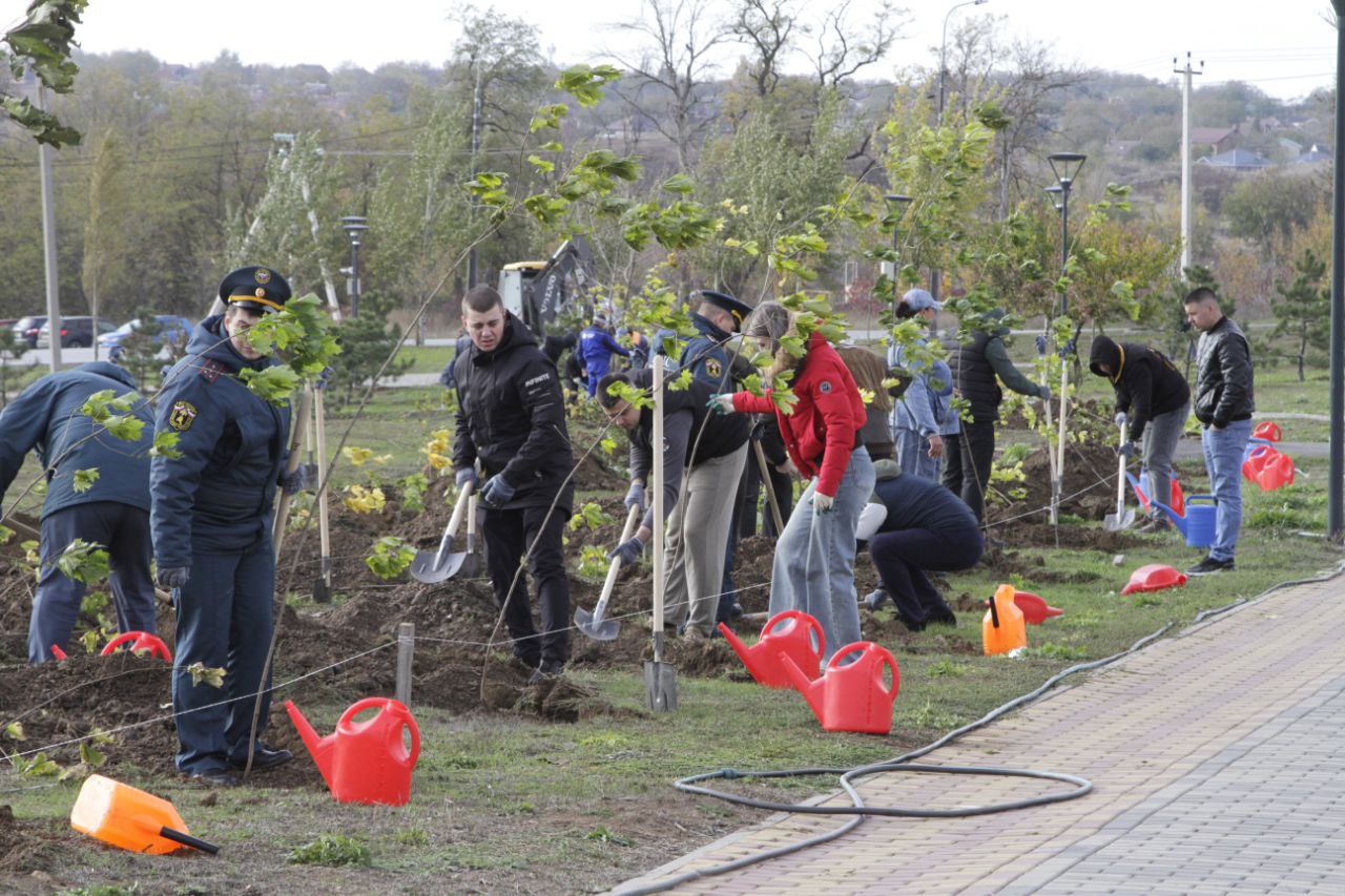 Знаете, что общего у борьбы с пожарами и посадкой деревьев? И то, и другое — забота о будущем! Знаете, что общего у борьбы с пожарами и посадкой деревьев? И то, и другое — забота о будущем!