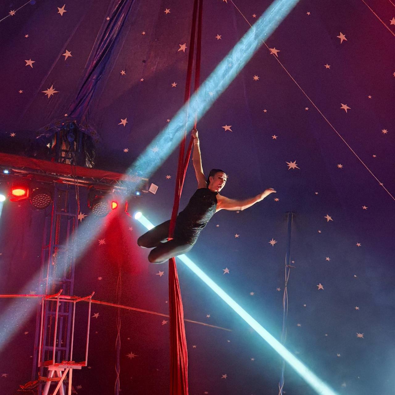 Цирк-шапито «Алле» совместно с управлением культуры и искусства подарили незабываемый праздник воспитанникам новочеркасского клуба «Радуга добра» Цирк-шапито «Алле» совместно с управлением культуры и искусства подарили незабываемый праздник воспитанникам новочеркасского клуба «Радуга добра»