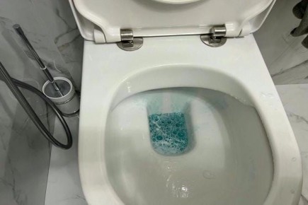 Что нельзя смывать в унитаз: советы сантехников