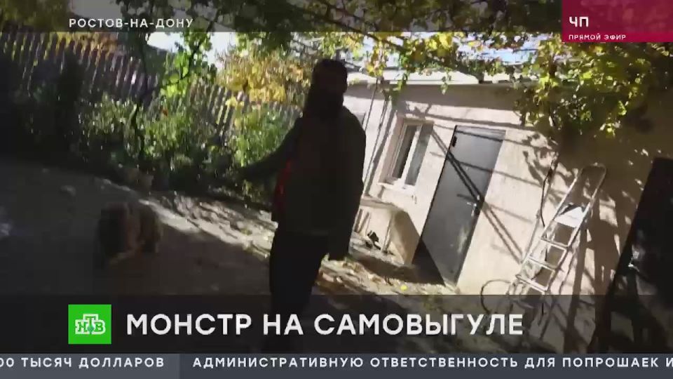Сюжет программы «Чрезвычайное происшествие» на телеканале НТВ о нападении собаки на жительницу г. Ростова-на-Дону