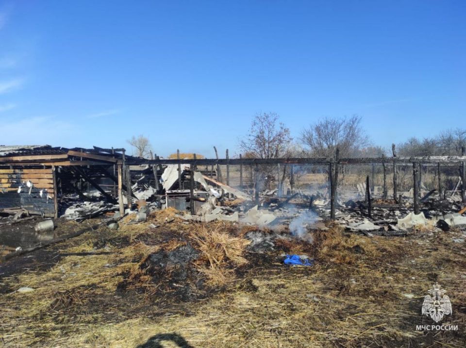 Оставленный в сети электроприбор привел к крупному пожару