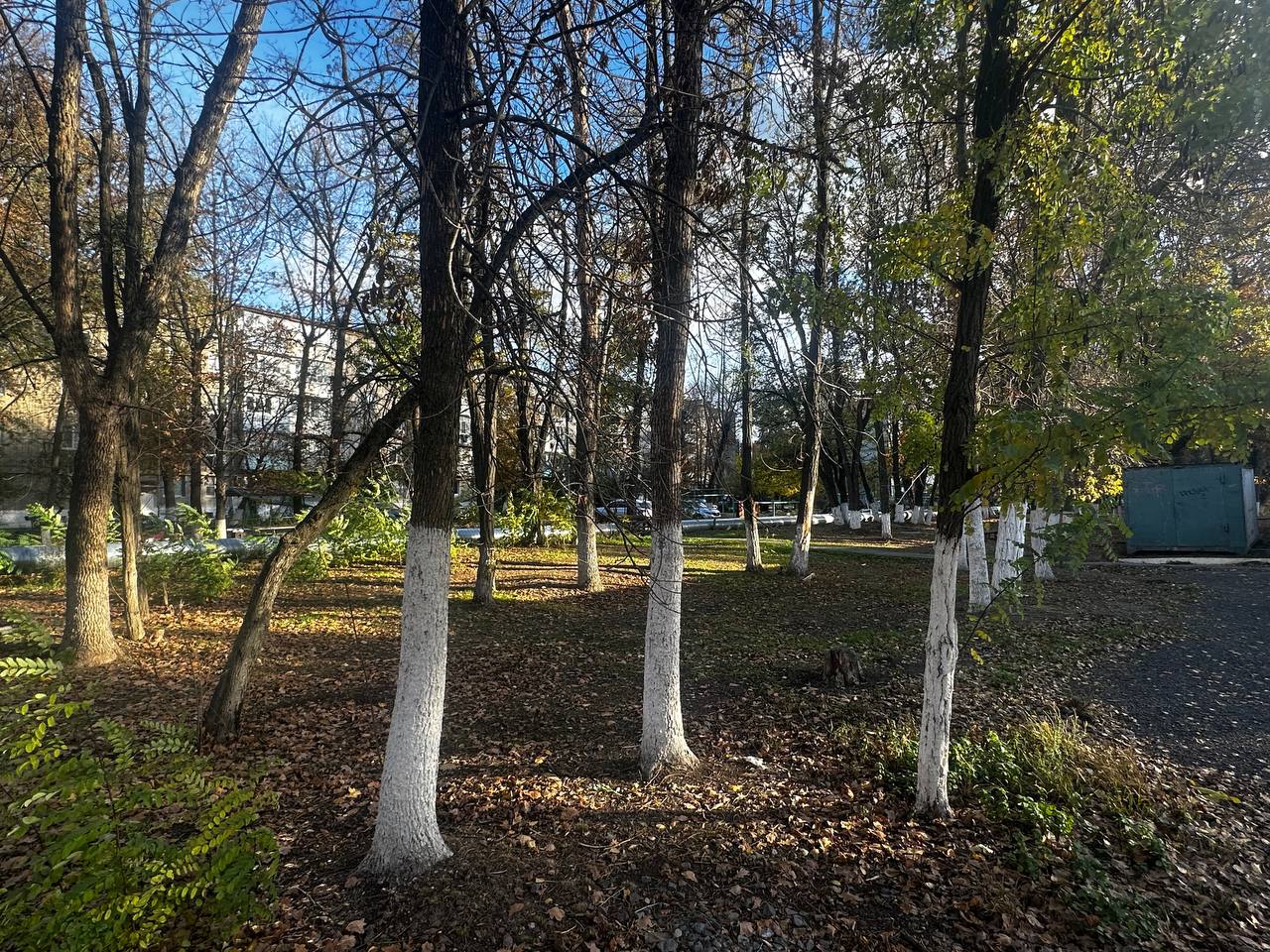 Сегодняшний день провёл в рабочем ритме — посетил микрорайон Донской, чтобы лично проверить, как идут важные для города работы Сегодняшний день провёл в рабочем ритме — посетил микрорайон Донской, чтобы лично проверить, как идут важные для города работы