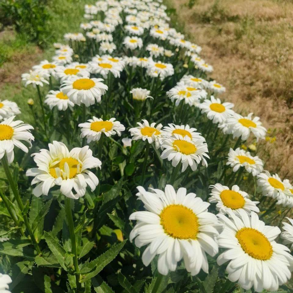 Анна Цивилева: Сотрудники филиалов фонда «Защитники Отечества» – отзывчивые люди, которые готовы оказать поддержку ветеранам СВО и членам их семей по самым разным направлениям Анна Цивилева: Сотрудники филиалов фонда «Защитники Отечества» – отзывчивые люди, которые готовы оказать поддержку ветеранам СВО и членам их семей по самым разным направлениям