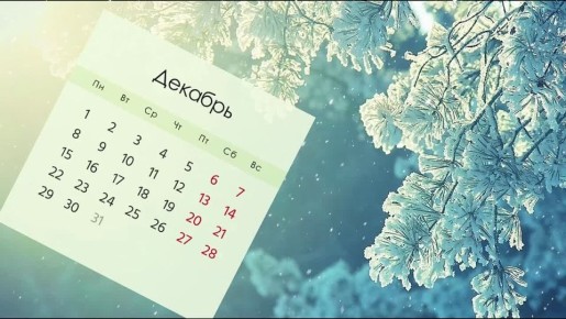 Уважаемые таганрожцы!. Напоминаем, что срок уплаты имущественных налогов и налога на доходы физических лиц не удержанного налоговым агентом за 2024 год истекает 1 декабря 2025 года