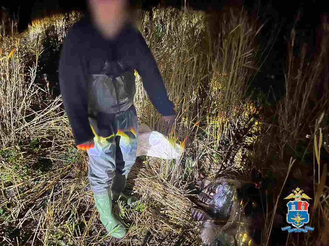 Сотрудники Ростовского линейного отдела МВД России на водном транспорте совместно с инспекторами Росрыболовства пресекли факт незаконной добычи водных биологических ресурсов в акватории реки Дон