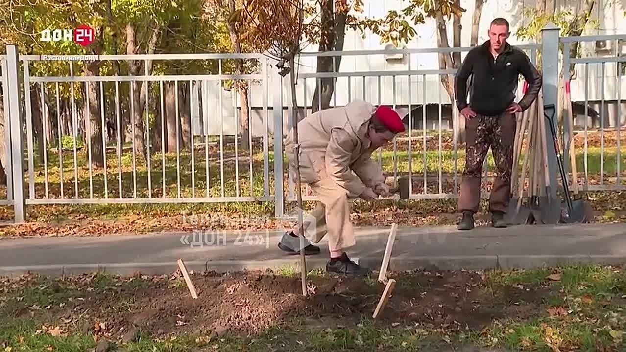 Аллею Славы и благодарности медработникам открыли в Ростове