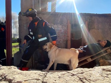 #ЧтоВчераПроизошло?. За сутки 29 октября 2025 года  пожарно-спасательные подразделения  Главного управления МЧС России по Ростовской области ликвидировали: