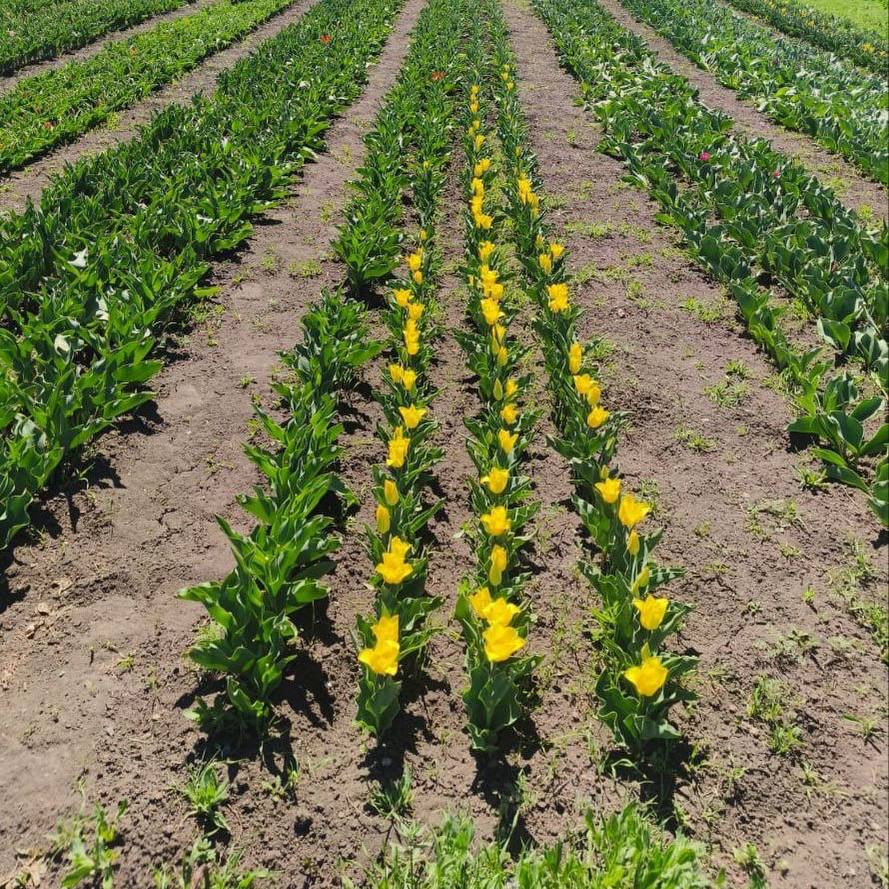 Анна Цивилева: Сотрудники филиалов фонда «Защитники Отечества» – отзывчивые люди, которые готовы оказать поддержку ветеранам СВО и членам их семей по самым разным направлениям Анна Цивилева: Сотрудники филиалов фонда «Защитники Отечества» – отзывчивые люди, которые готовы оказать поддержку ветеранам СВО и членам их семей по самым разным направлениям