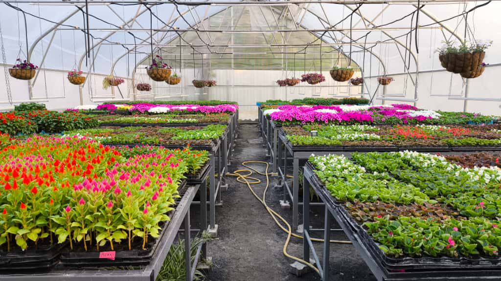 Александр Скрябин: Зелёные насаждения играют ключевую роль в создании экологически благополучной городской среды Александр Скрябин: Зелёные насаждения играют ключевую роль в создании экологически благополучной городской среды