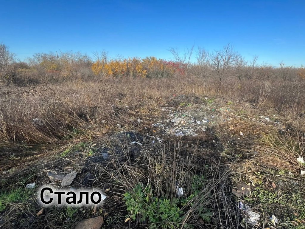 В Шахтах нарушитель вывез свалочный очаг из природной зоны В Шахтах нарушитель вывез свалочный очаг из природной зоны