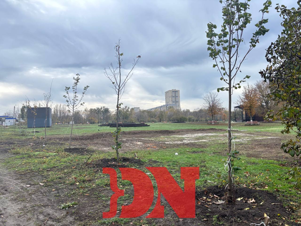 «Тренажёры не распакованы»: как создают сквер на Зорге Ростова «Тренажёры не распакованы»: как создают сквер на Зорге Ростова