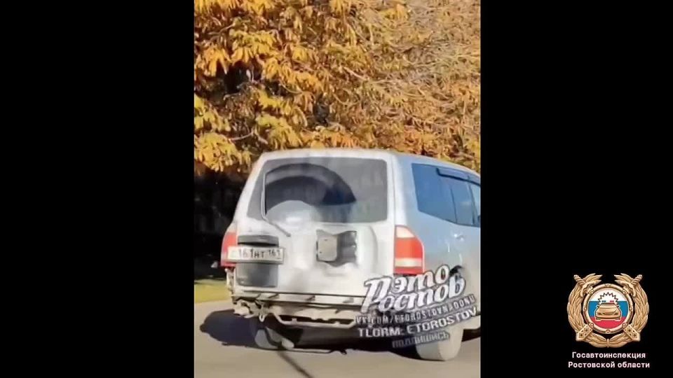 Водитель, нарушивший ПДД, установлен и привлечён к ответственности