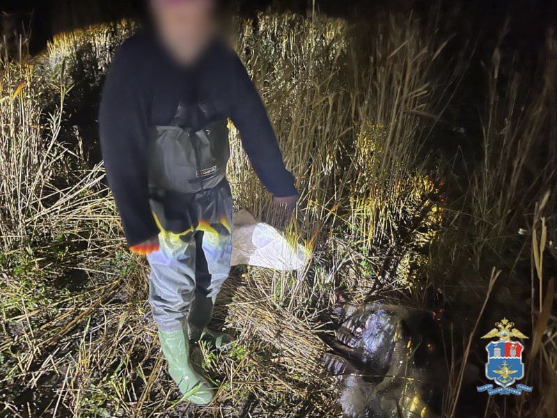 44-   ,     ,      ,      