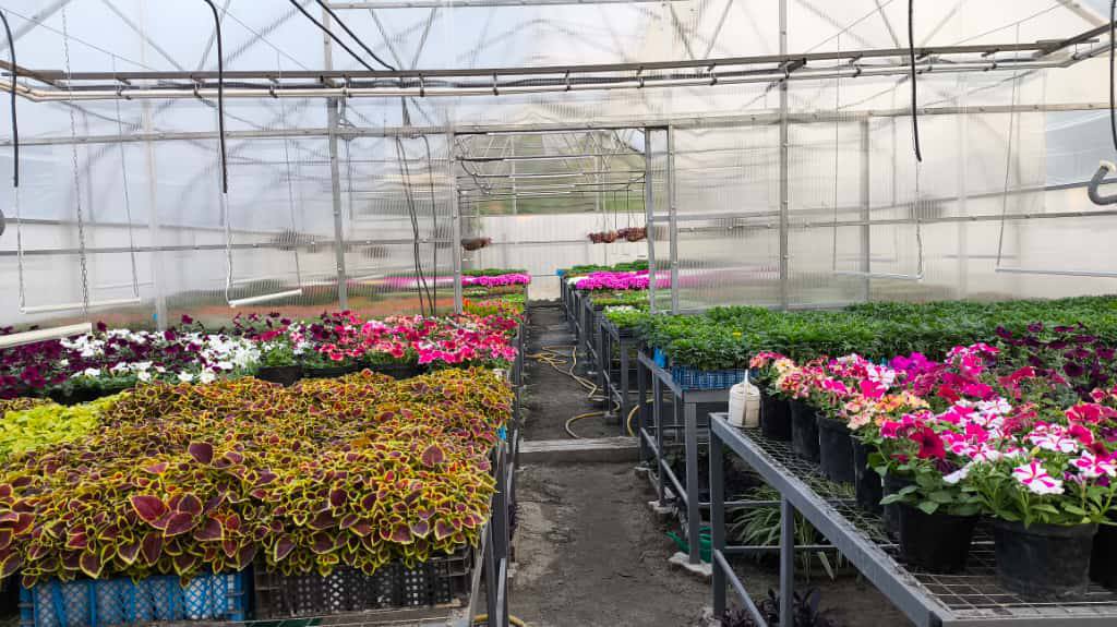 Александр Скрябин: Зелёные насаждения играют ключевую роль в создании экологически благополучной городской среды Александр Скрябин: Зелёные насаждения играют ключевую роль в создании экологически благополучной городской среды