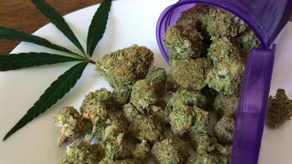 Погоня за легкими деньгами привела жителя Миллерово в исправительную колонию строгого режима