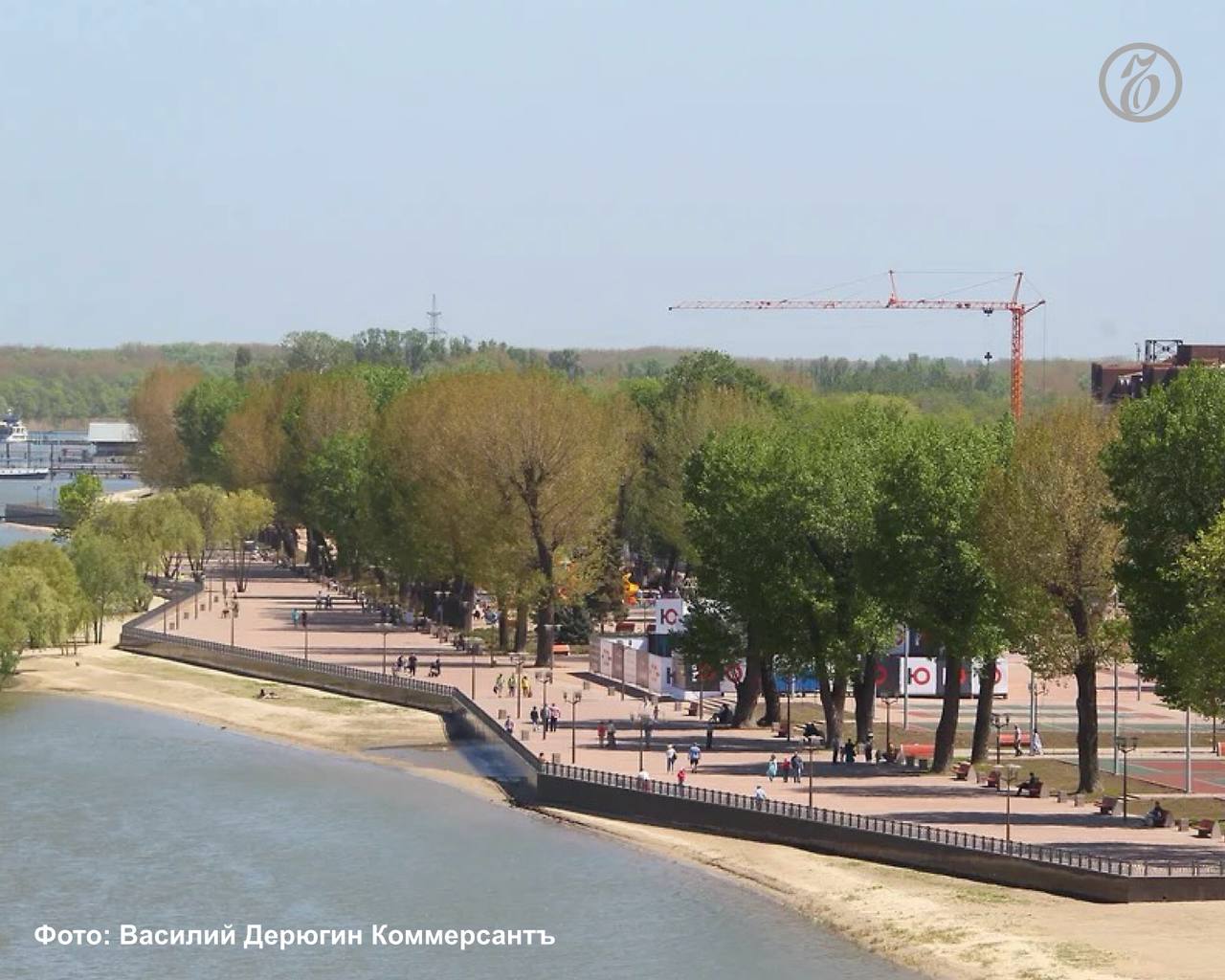 В парках Ростова-на-Дону могут появиться собственные теплицы для цветов