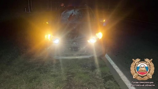 Сотрудники полиции устанавливают обстоятельства смертельного ДТП