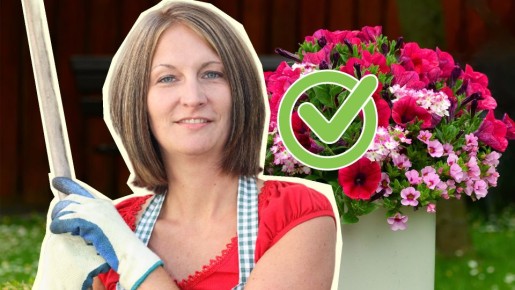 Вот что умные дачники делают с петуниями в августе: кусты потом цветут аж до осени