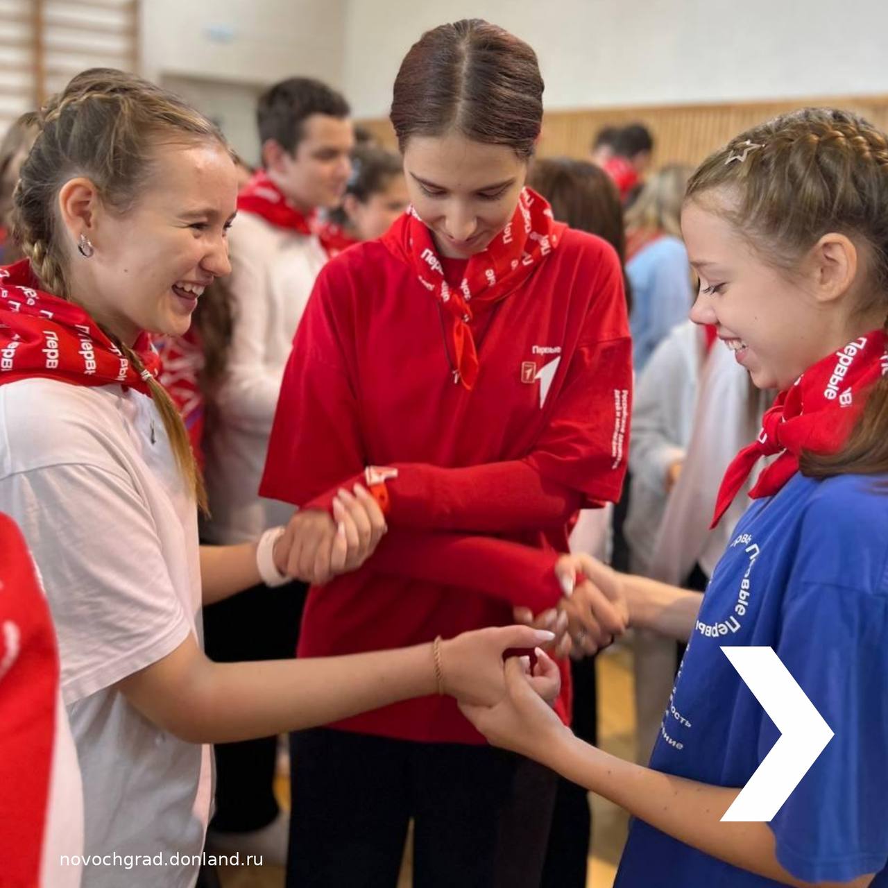 Новочеркасские активисты присоединились к региональному форуму «Мы в Движении»