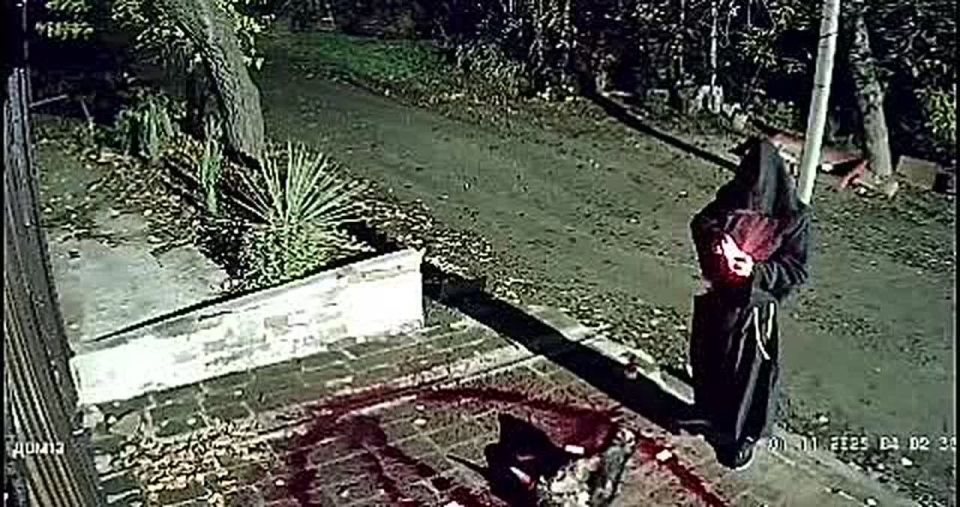 Полиция задержала ростовчанина, проводившего странные обряды с атрибутикой с мясного рынка у дома местной жительницы