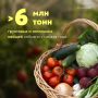 Свежие новости с грядок. Российские аграрии собрали уже >6,1 млн тонн овощей – больше, чем за тот же период в прошлом году