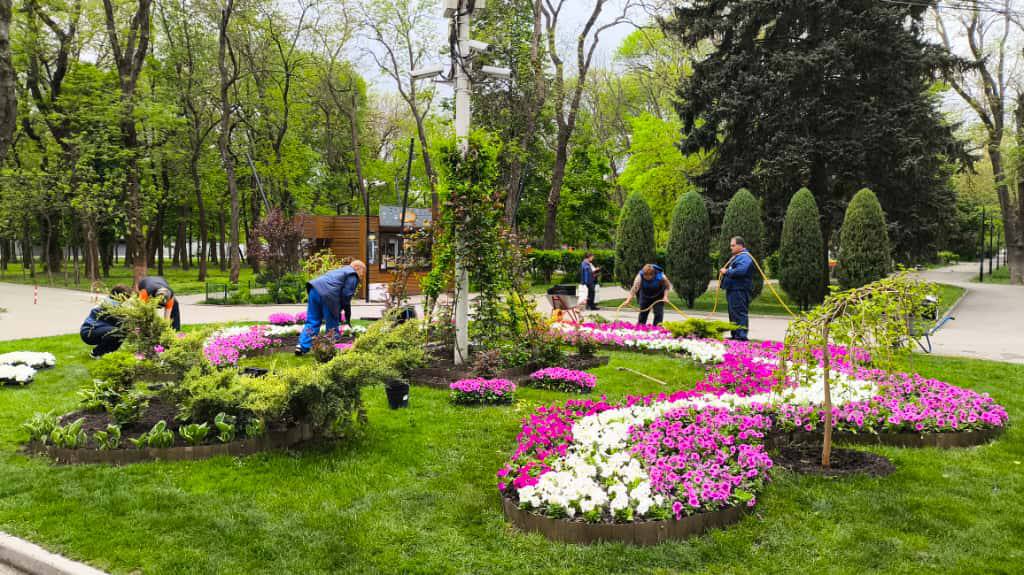 Ростовские парки оборудуют теплицами, в которых будут выращивать цветы для оформления зеленых зон города