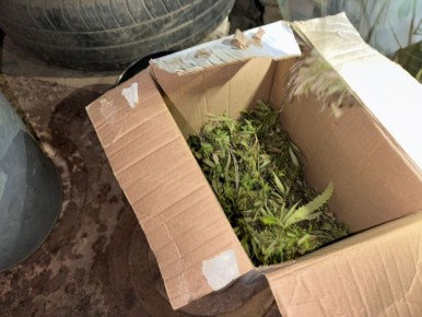 В Егорлыкском районе полицейские задержали подозреваемого в хранении наркотиков в крупном размере