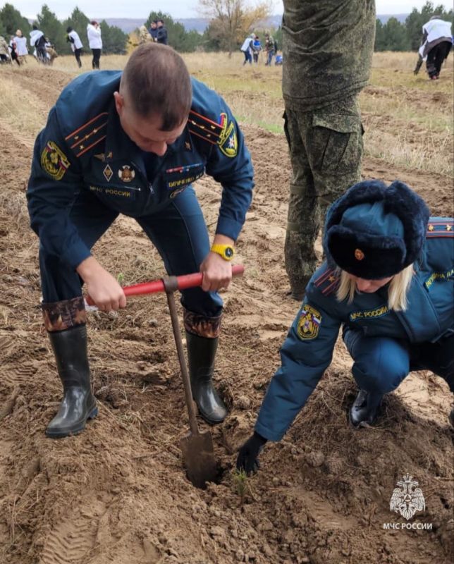 В Каменском районе сотрудники МЧС России приняли участие в Дне древонасаждения В Каменском районе сотрудники МЧС России приняли участие в Дне древонасаждения