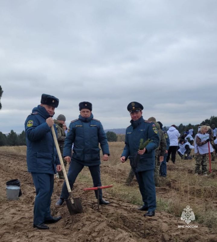 В Каменском районе сотрудники МЧС России приняли участие в Дне древонасаждения В Каменском районе сотрудники МЧС России приняли участие в Дне древонасаждения