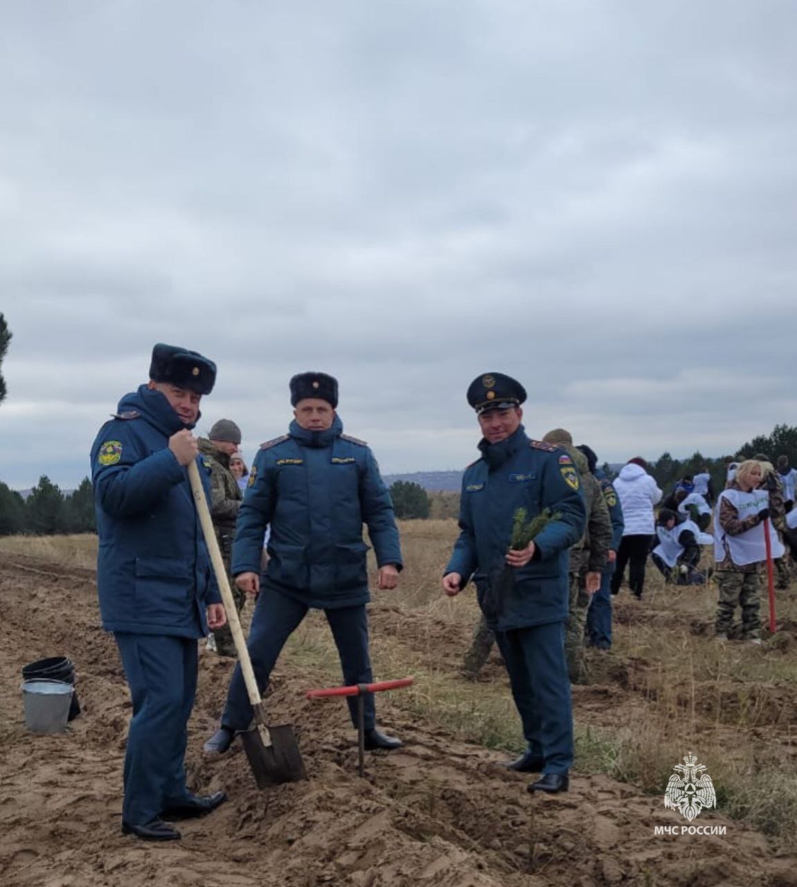 В Каменском районе сотрудники МЧС России приняли участие в Дне древонасаждения В Каменском районе сотрудники МЧС России приняли участие в Дне древонасаждения