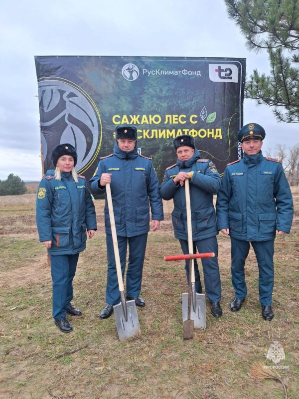 В Каменском районе сотрудники МЧС России приняли участие в Дне древонасаждения В Каменском районе сотрудники МЧС России приняли участие в Дне древонасаждения
